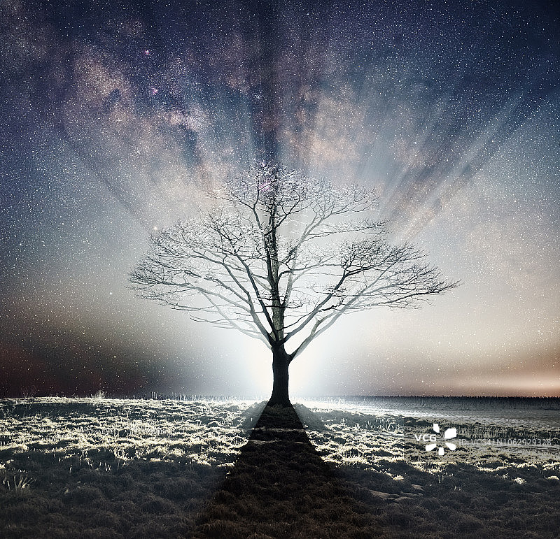 星光下的剪影图片素材