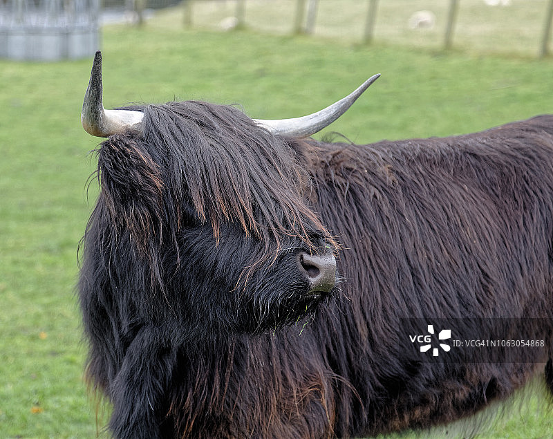 海澜之家-黑色图片素材