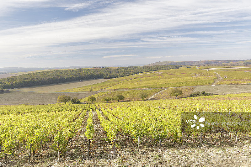 法国桑塞尔葡萄园的秋色图片素材