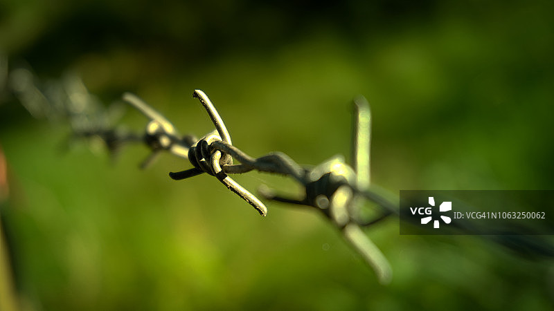 带刺铁丝网特写图片素材