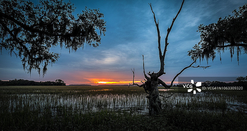 美国南卡罗来纳州瓦德马拉岛图片素材