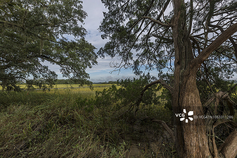 美国南卡罗来纳州瓦德马拉岛图片素材