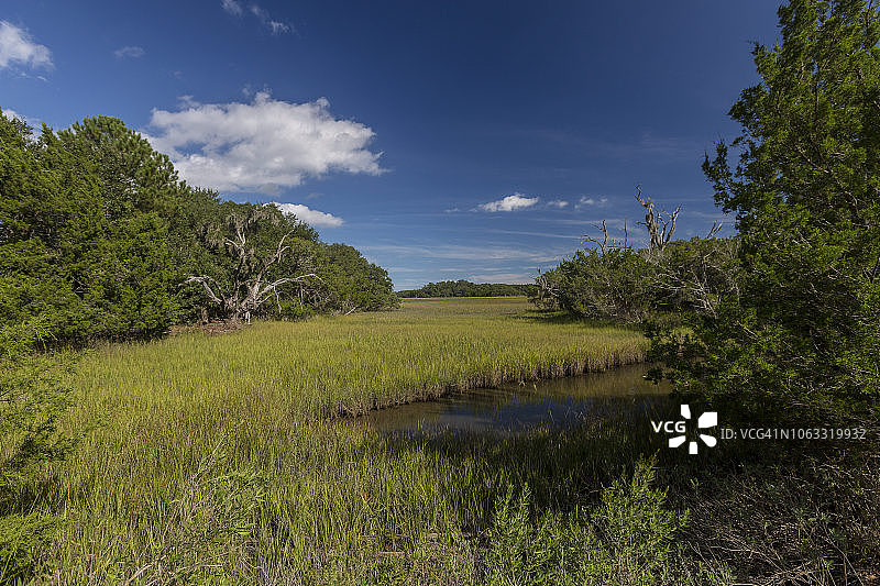 美国南卡罗来纳州瓦德马拉岛图片素材