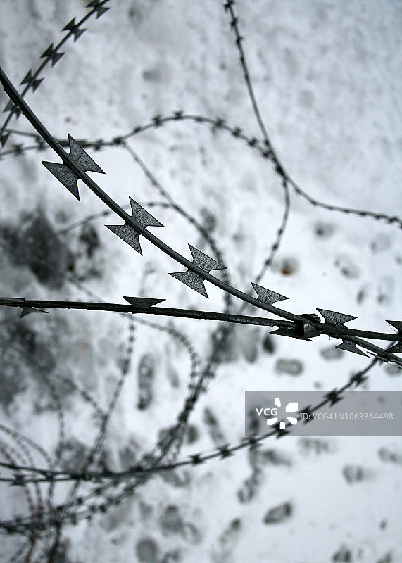 雪地背景下的铁丝网细节图片素材