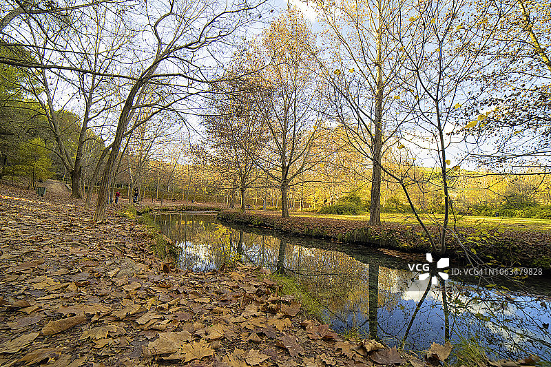 秋季河边景色图片素材