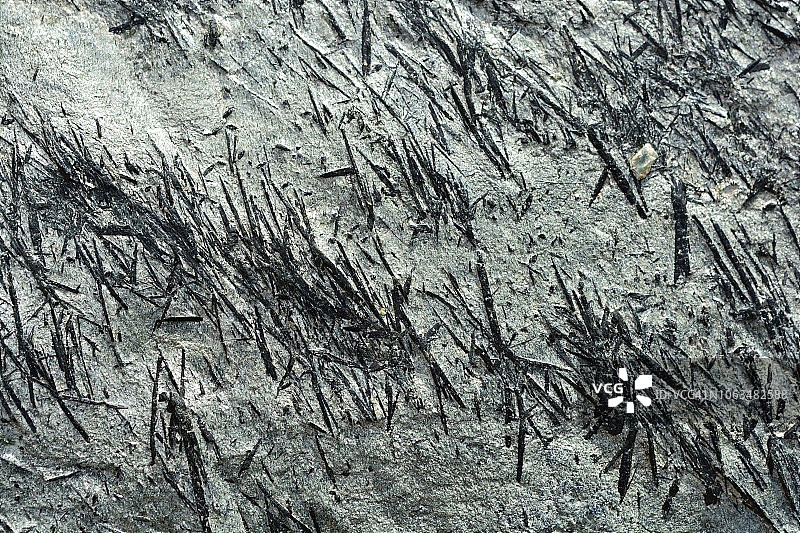 角闪石矿物图片素材