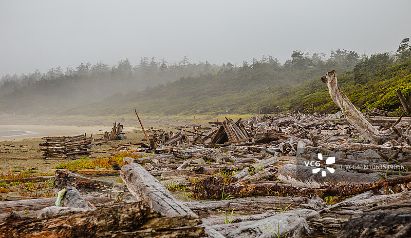 托菲诺长滩图片素材