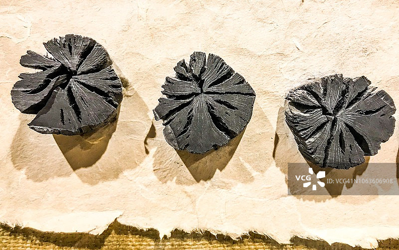 和纸上木炭截面特写图片素材