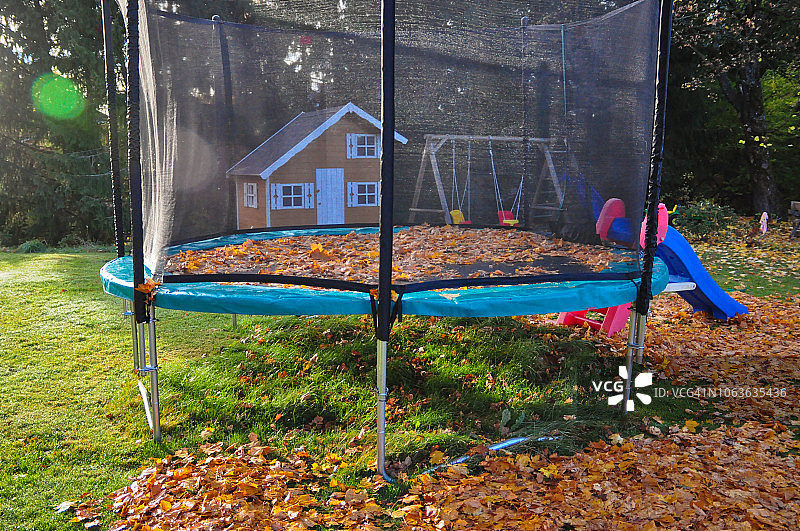 花园草坪和蹦床上大量的秋叶图片素材