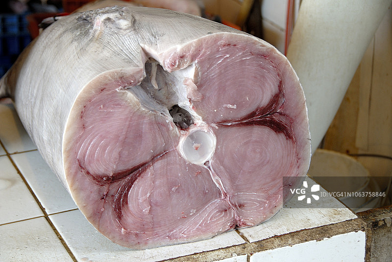 智利海鲜图片素材