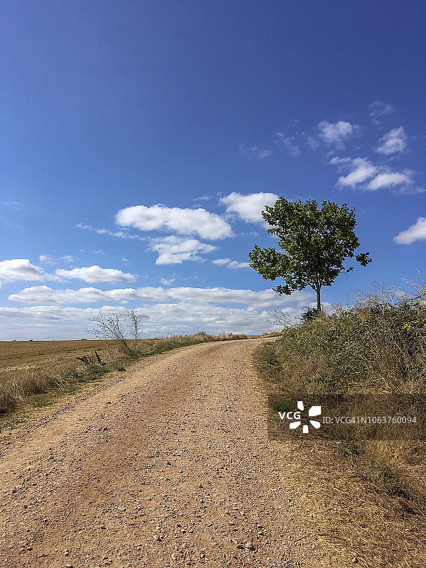 圣地亚哥朝圣之路图片素材