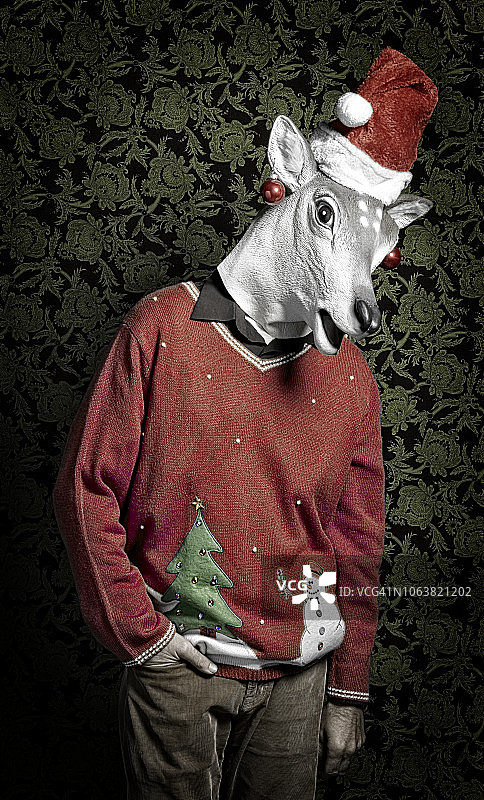 穿着V领圣诞毛衣和圣诞帽的驯鹿图片素材