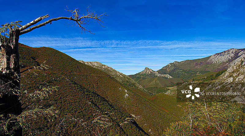 萨尔东山全景图片素材