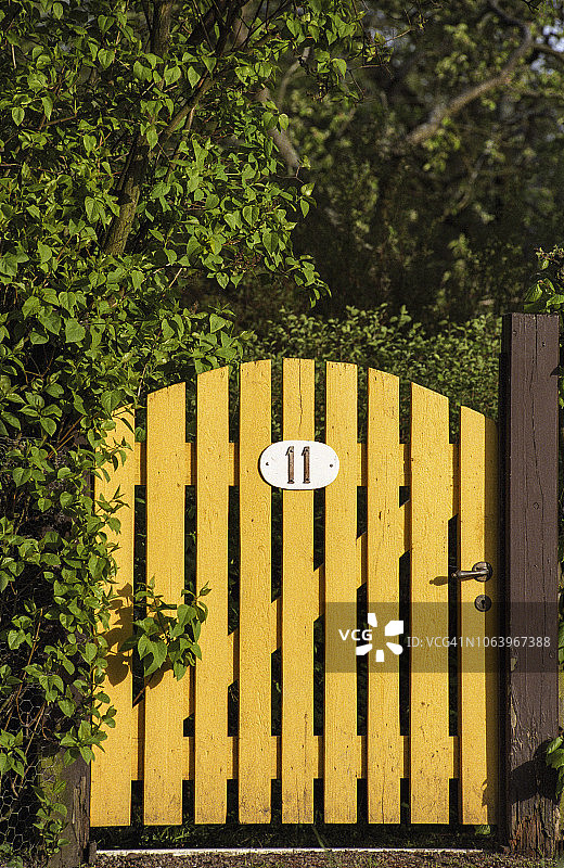花园栅栏中的黄色木门图片素材