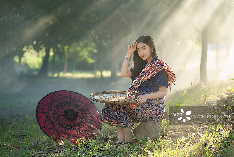 坐在绿色稻田里的泰国女农民图片素材