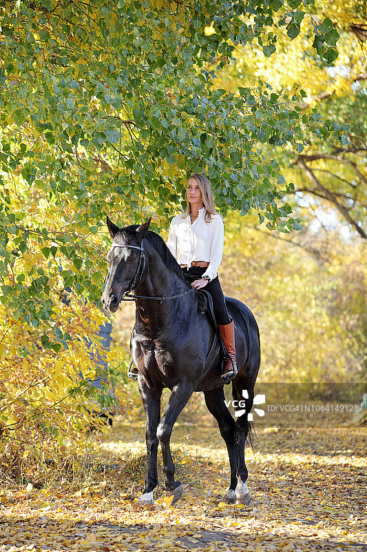 骑马的女人图片素材
