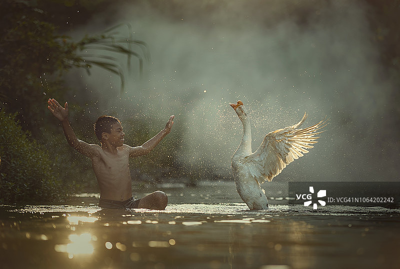 小男孩和朋友们一起玩鹅图片素材