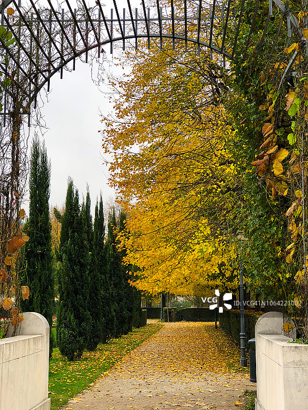 秋季的奥地利维也纳人民公园图片素材