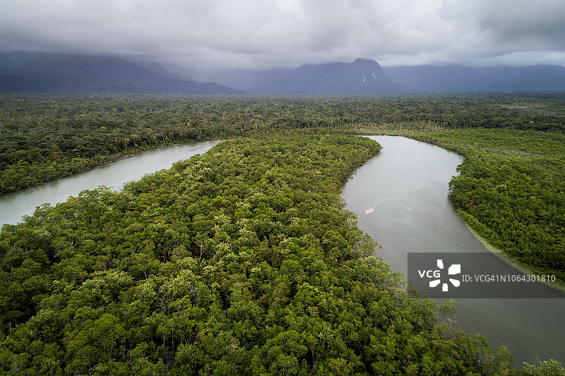 热带雨林图片素材