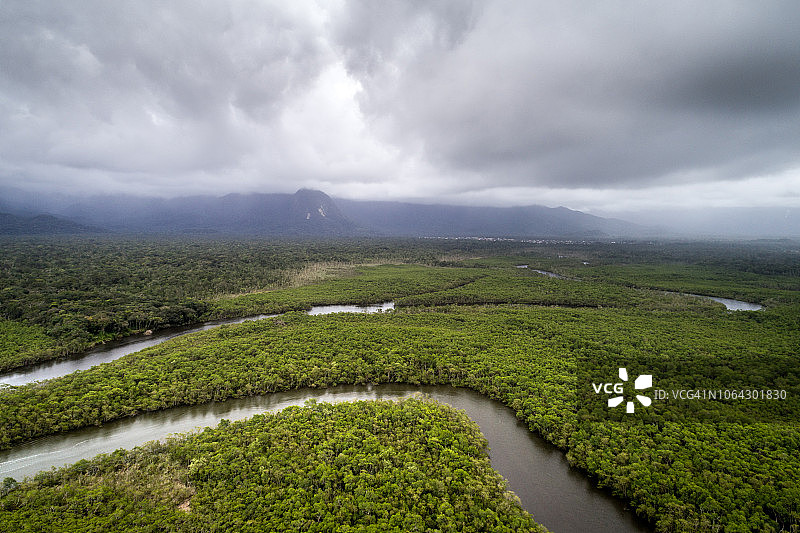 热带雨林图片素材