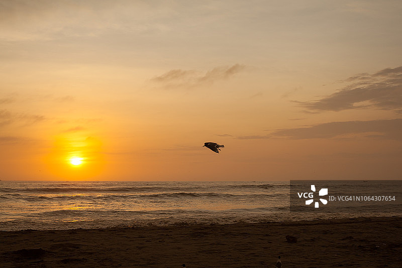 秘鲁自由图片素材