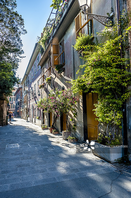 开满鲜花和藤蔓的意式灰泥外墙图片素材
