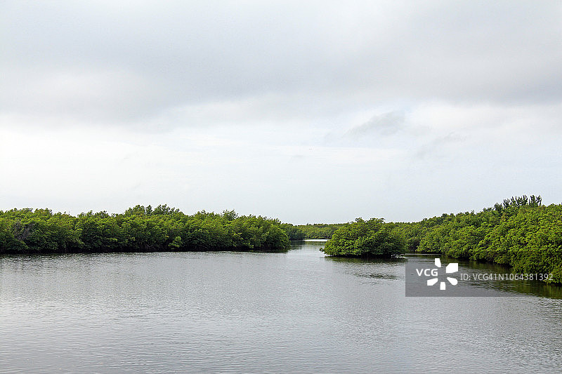 佛罗里达州杰克岛保护区州立公园的沿海水域和红树林图片素材