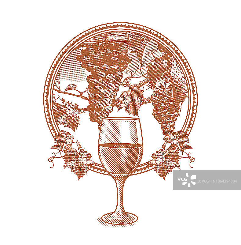 葡萄园葡萄与圆形酒杯图片素材