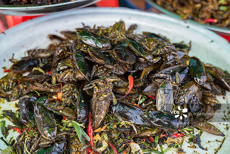 柬埔寨磅湛省市场上的水甲虫美食图片素材