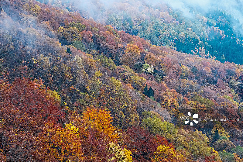日本山形县藏王秋景图片素材
