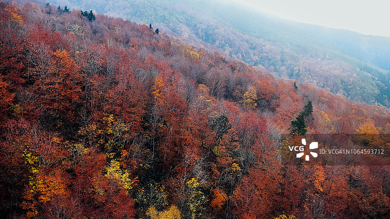 日本山形县藏王秋景图片素材