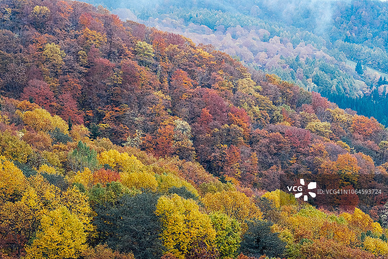 日本山形县藏王秋景图片素材