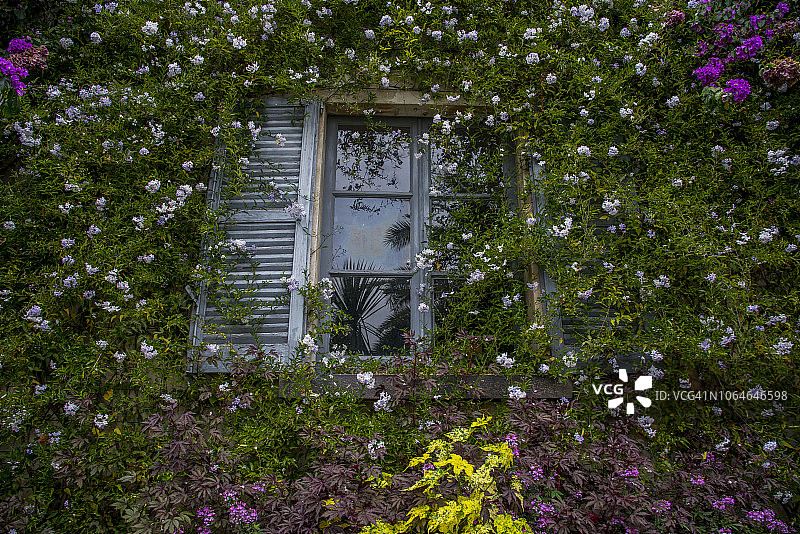 马德雷岛（博罗梅安群岛）的细节，2018年9月图片素材