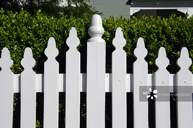 橡果设计的白色尖桩篱栅图片素材