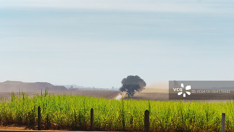 圣保罗内陆的甘蔗种植图片素材