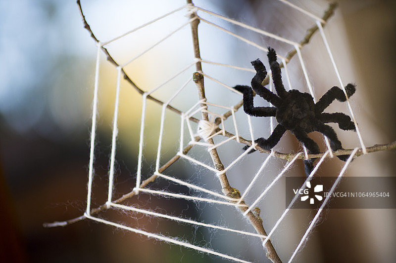 用树枝和羊毛制成的自制蜘蛛网装饰品图片素材