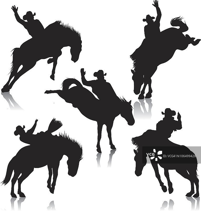 后背骑乘的竞技表演用马图片素材