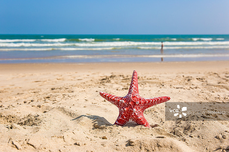沙滩上的海星图片素材