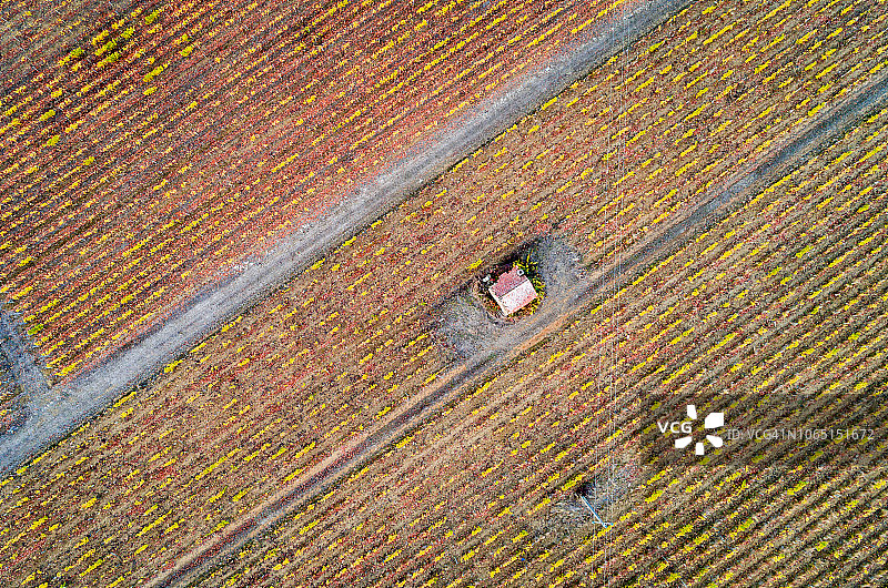 从天空看法国：勃艮第的葡萄园图片素材