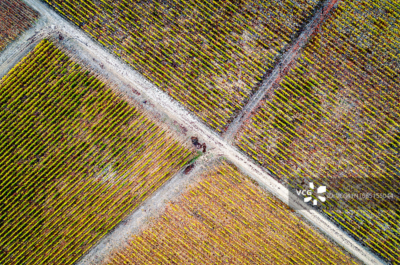 从天空看法国：勃艮第的葡萄园图片素材