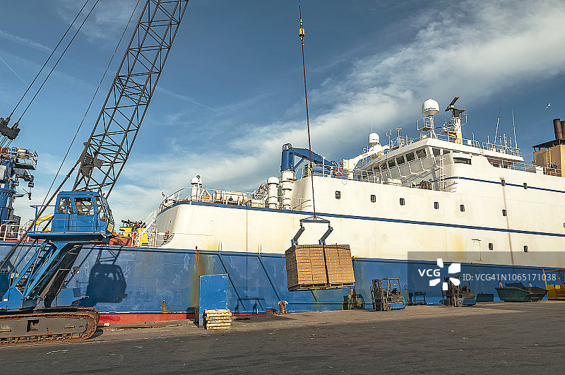 卸载深度冷冻的包装鱼图片素材