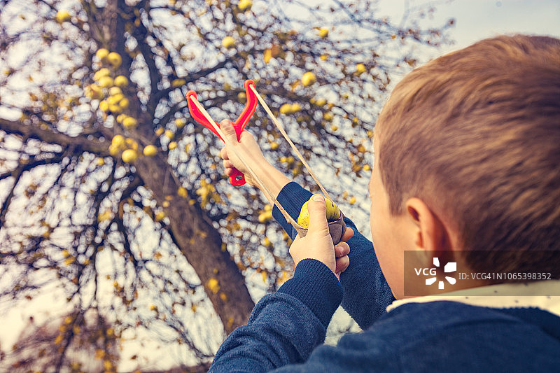 男孩用弹弓击落苹果图片素材