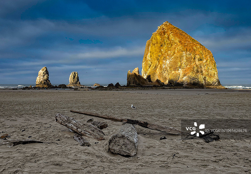 金色阳光洒在坎农海滩的干草堆岩石和针状岩上图片素材