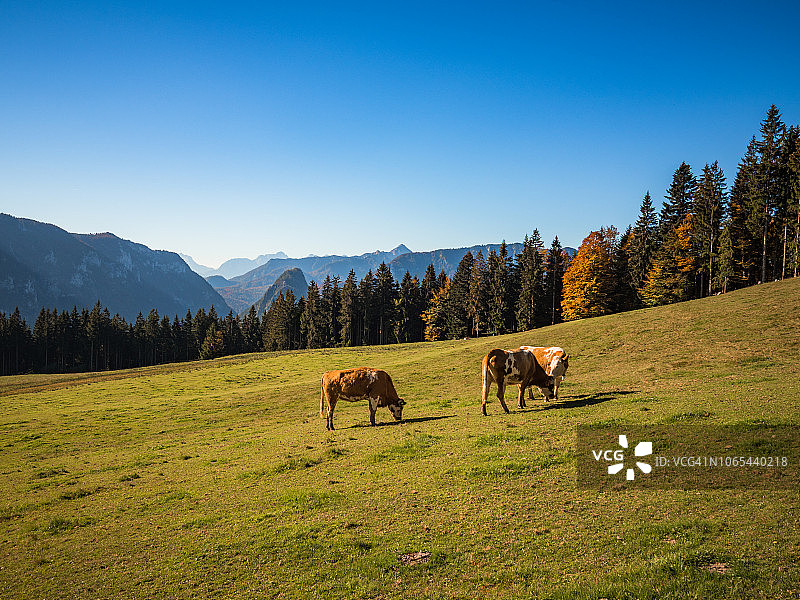 Backeralm Runde徒步图片素材