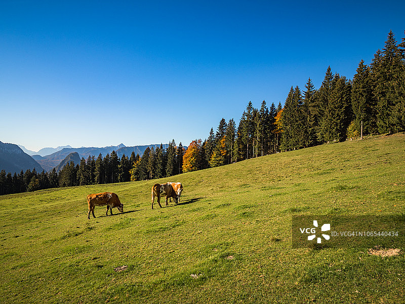 Backeralm Runde徒步图片素材
