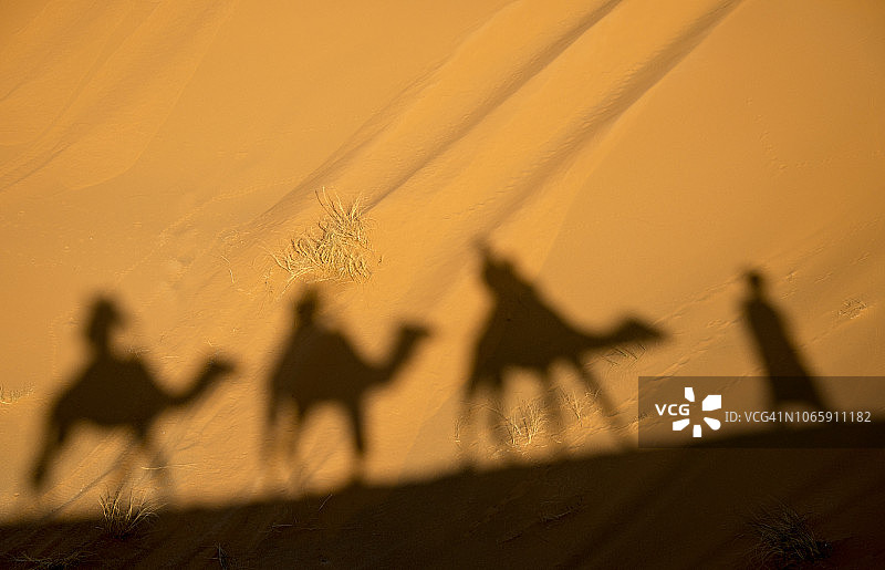 撒哈拉沙漠沙丘上的骆驼队剪影图片素材