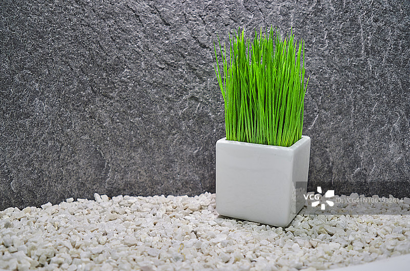 白色咬肌与植物图片素材