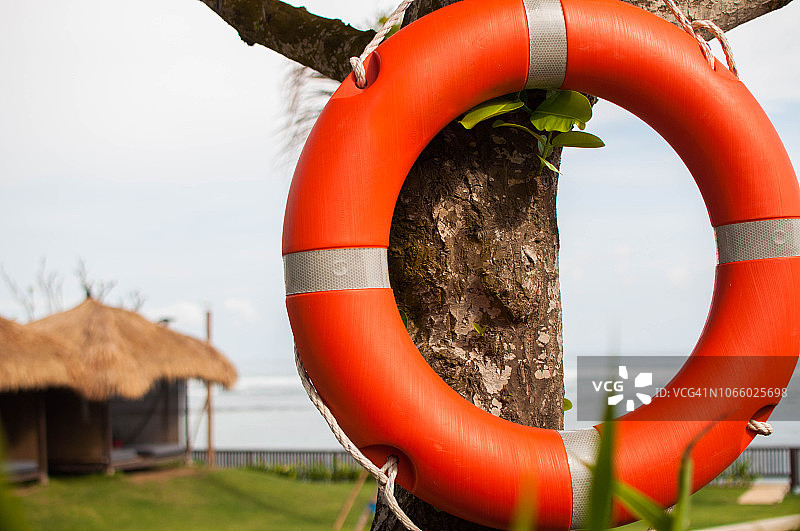 挂在树上的救生圈图片素材