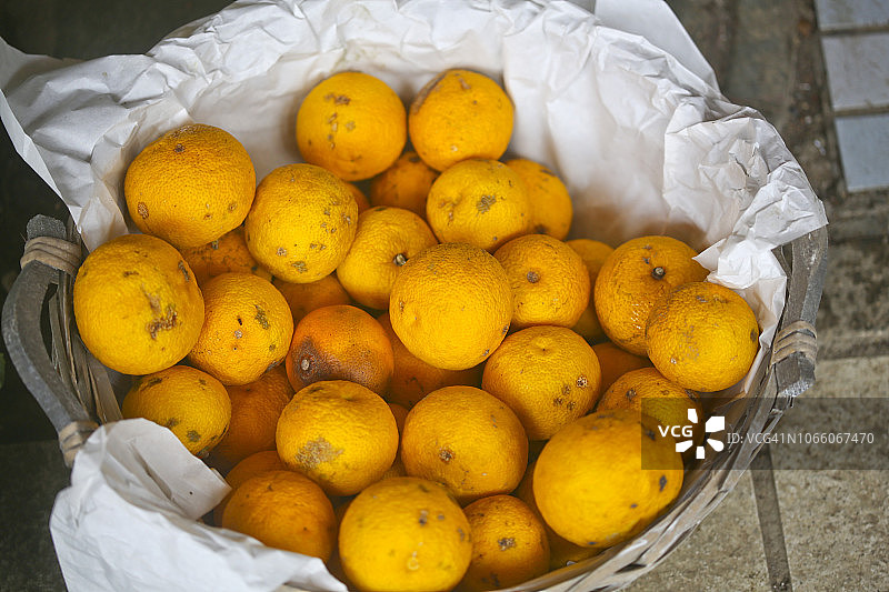 柚子图片素材