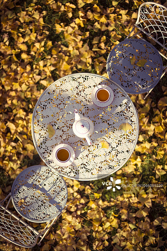 秋日银杏树下下午茶图片素材